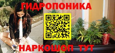 шишки Наро-Фоминск