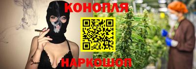 мдпв Нальчик