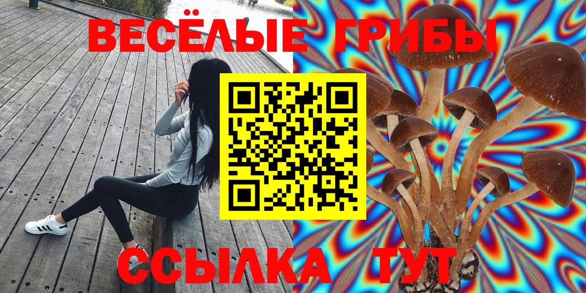 Галлюциногенные грибы MAGIC MUSHROOMS  Вход с VPN  наркота  Гудермес 